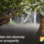 Maintain bio-diversity for prosperity